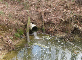 Sewer Photo